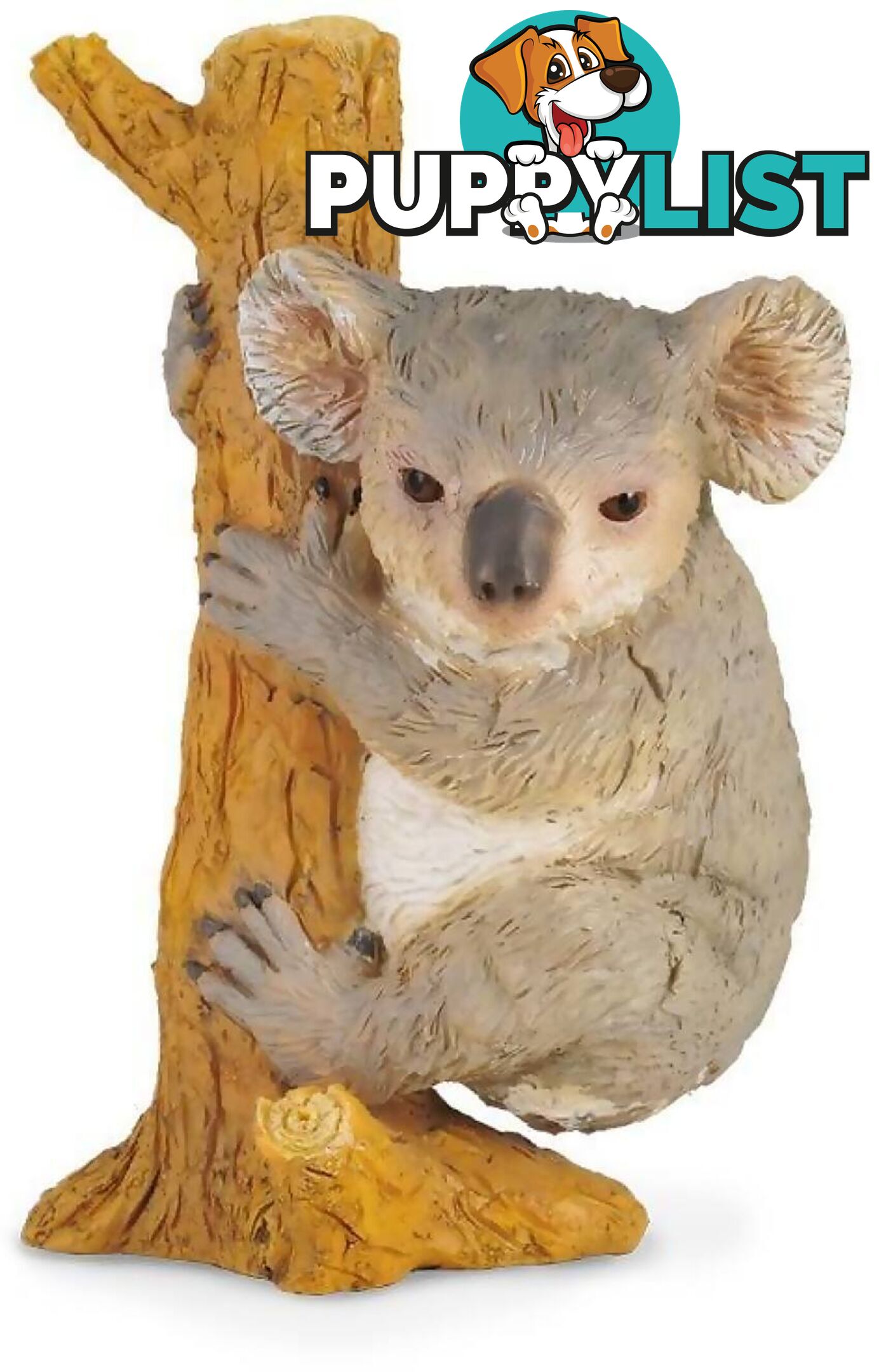 CollectA - Koala Bear Climbing Animal Medium Figurine - Rpco88356 - 4892900883564