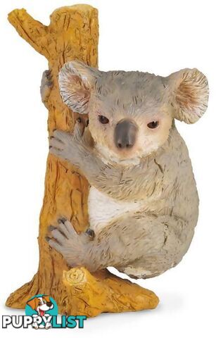 CollectA - Koala Bear Climbing Animal Medium Figurine - Rpco88356 - 4892900883564