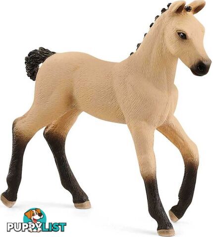 Schleich - Hanoverian Foal Red Dun - Mdsc13929 - 4059433084480