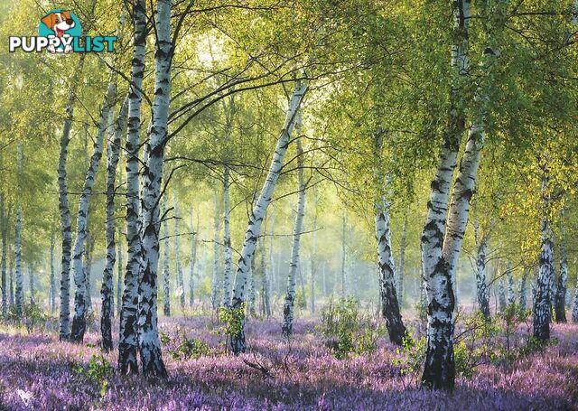 Ravensburger - Birch Forest Jigsaw Puzzle 1000pc - Mdrb16753 - 4005556167531