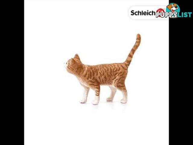 Schleich - Cat Sc13836 - 4055744012570