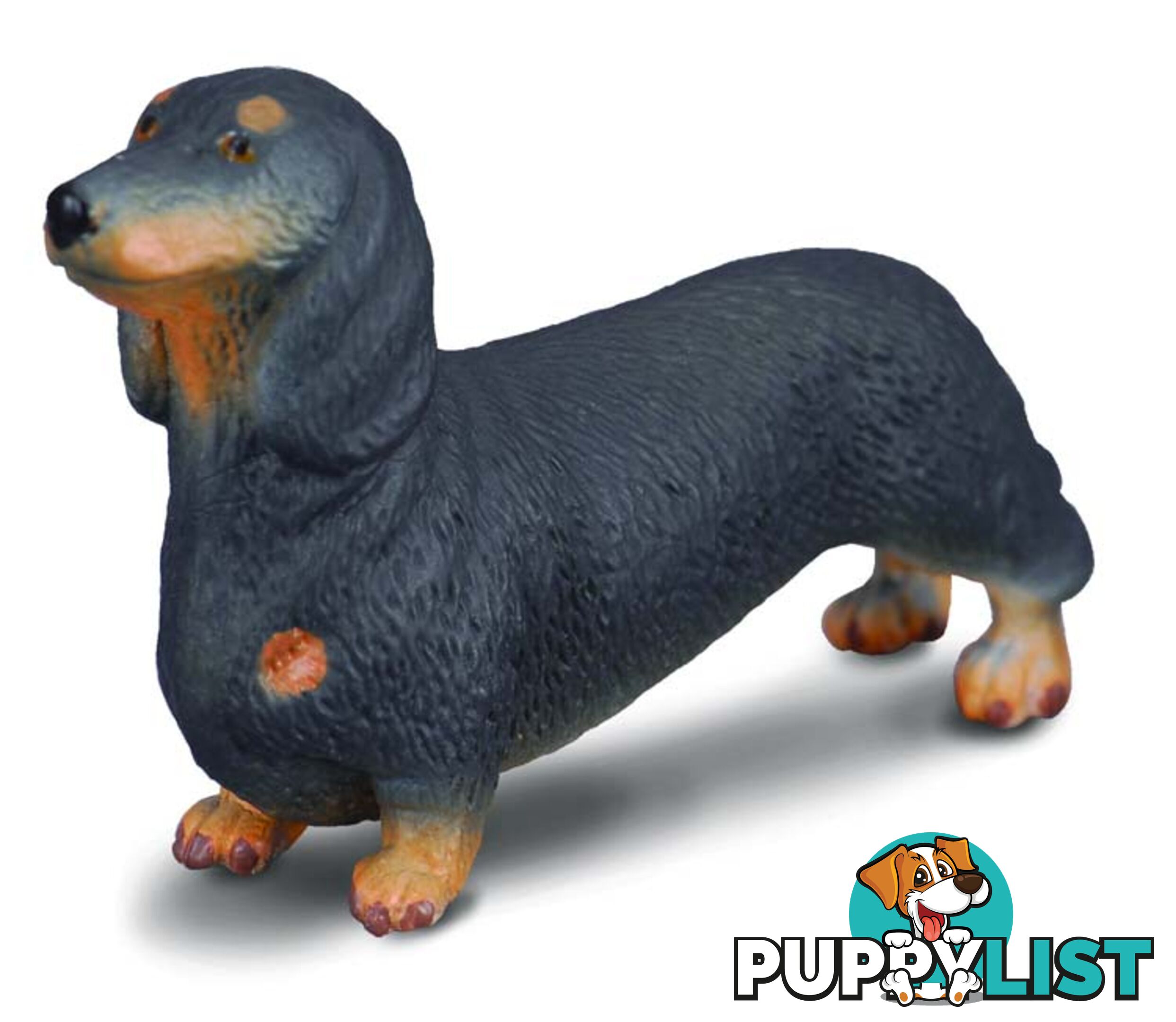 CollectA Dachshund Dog Animal Figurine - Rpco88185 - 4892900881850