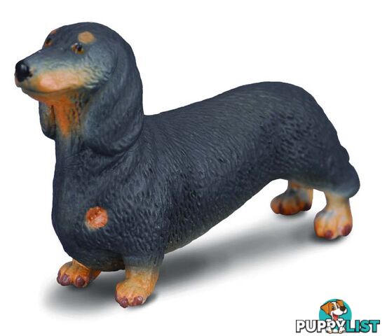 CollectA Dachshund Dog Animal Figurine - Rpco88185 - 4892900881850