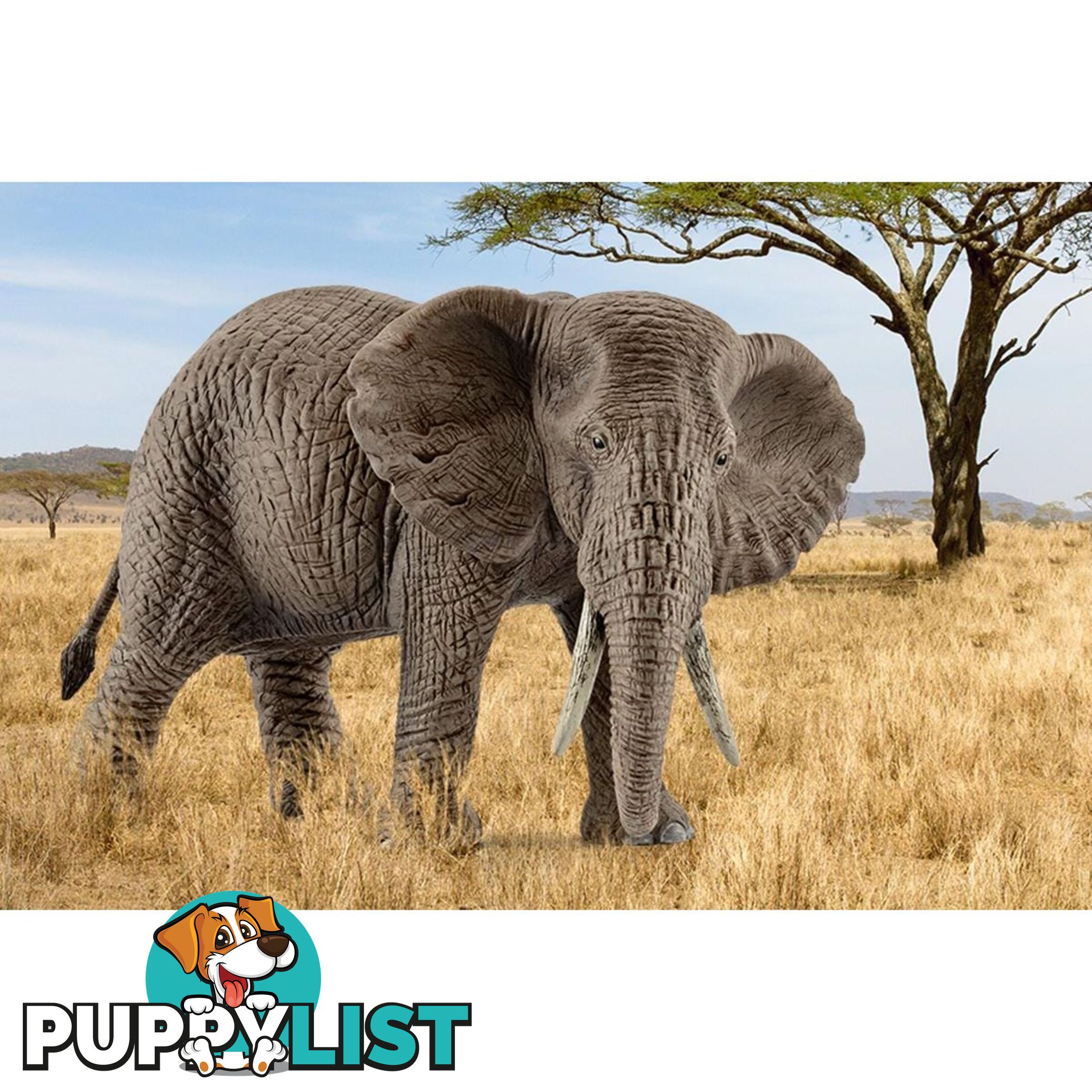 Schleich - African Elephant Female Figurine  - Mdsc14761 - 4005086147614