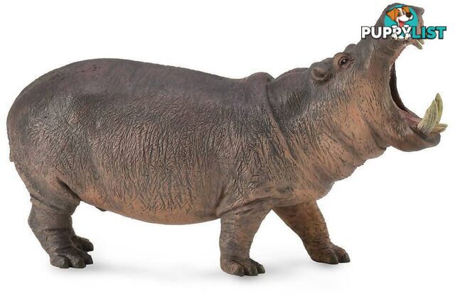 CollectA - Hippopotamus Extra Large Animal Figurine - Rpco88833 - 4892900888330