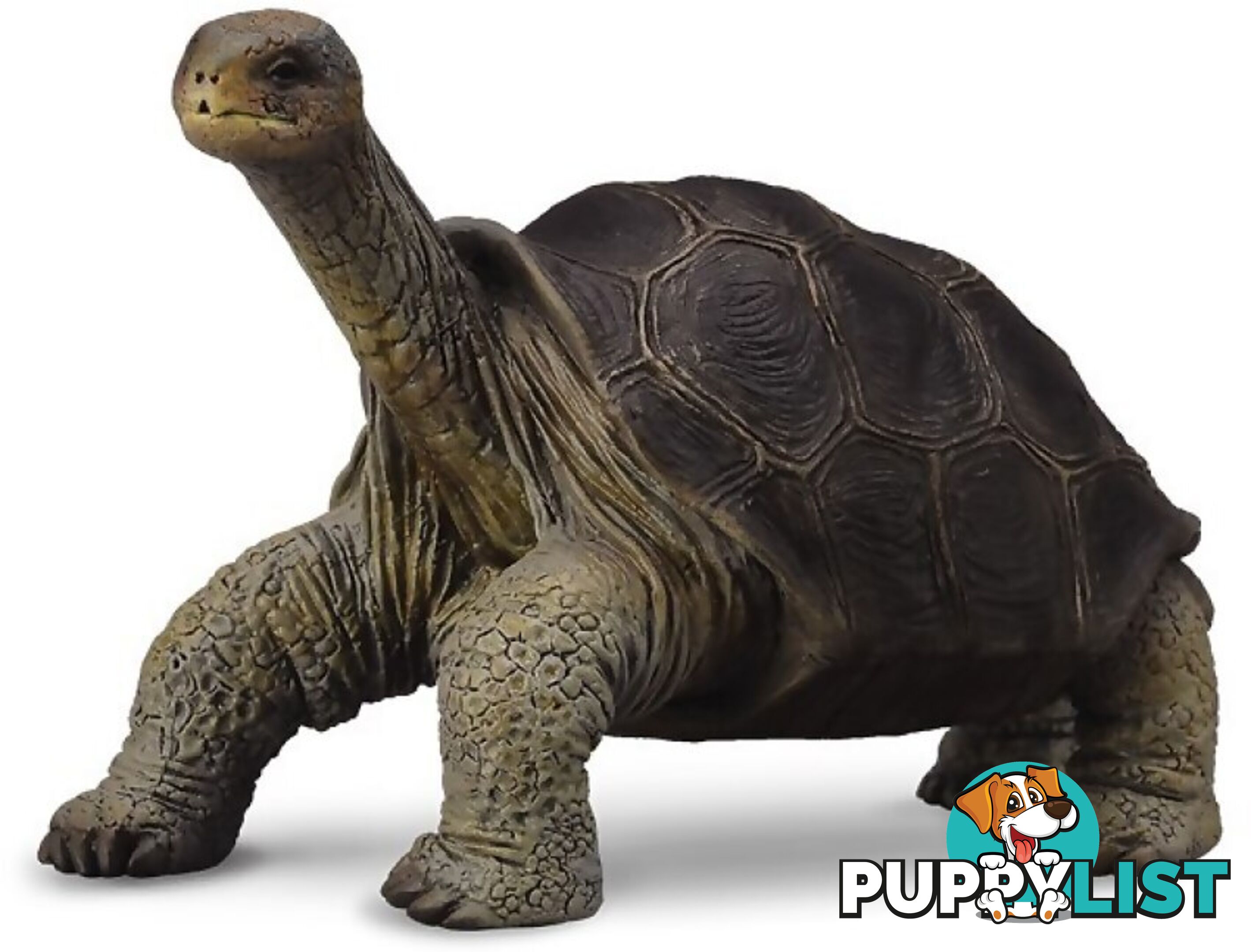 CollectA - Tortoise Pinta Island Tortoise Figurine - Rpco88619 - 4892900886190