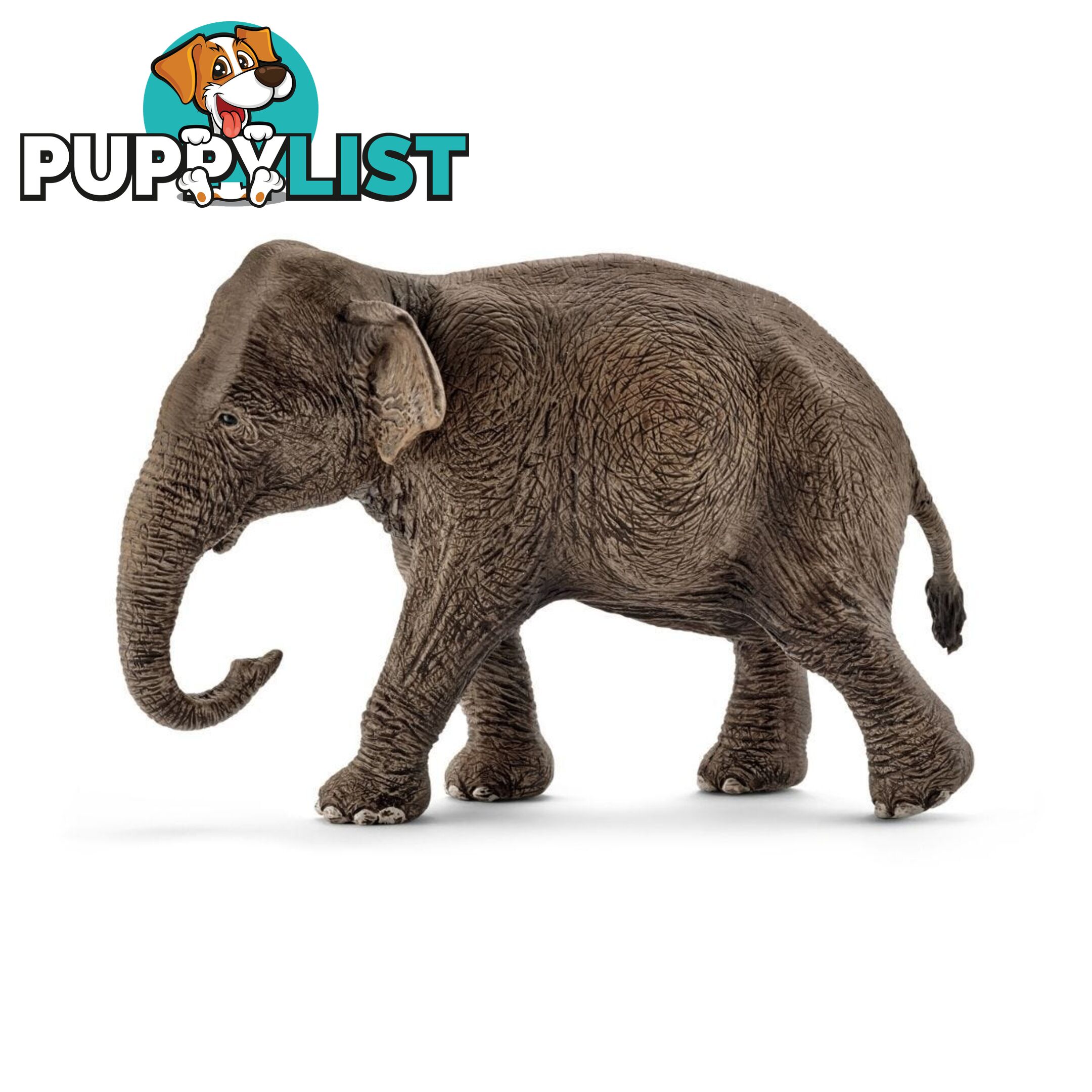 Schleich - Asian Elephant Female   Wildlife Animal Figurine Sc14753 - 4005086147539