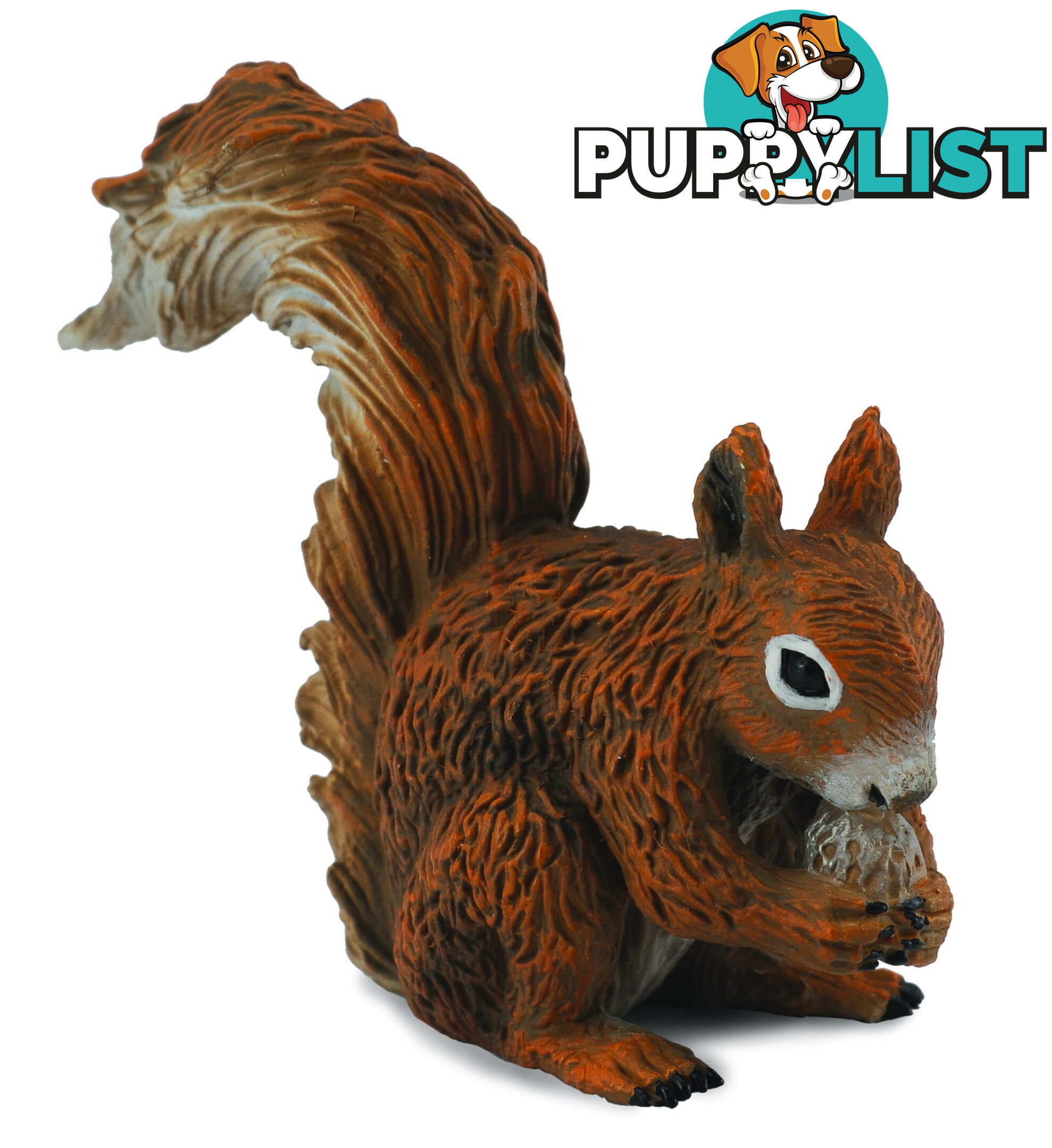 CollectA Red Squirrel Eating Animal Figurine - Rpco88467 - 4892900884677