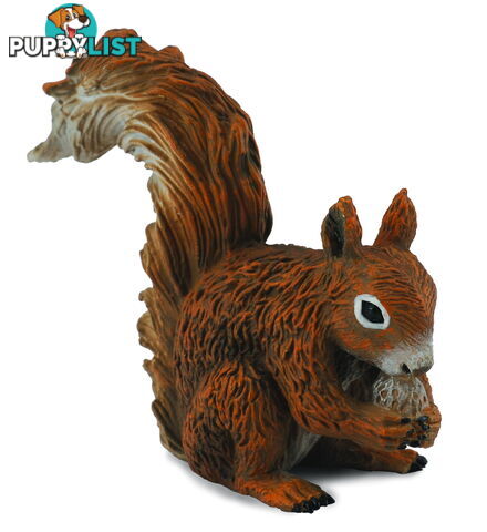 CollectA Red Squirrel Eating Animal Figurine - Rpco88467 - 4892900884677