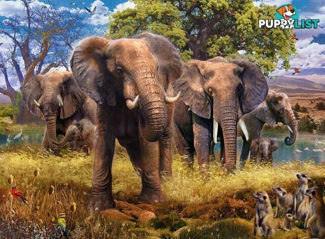 Ravensburger - Elephant Family Jigsaw Puzzle 500pc - Mdrb15040 - 4005556150403