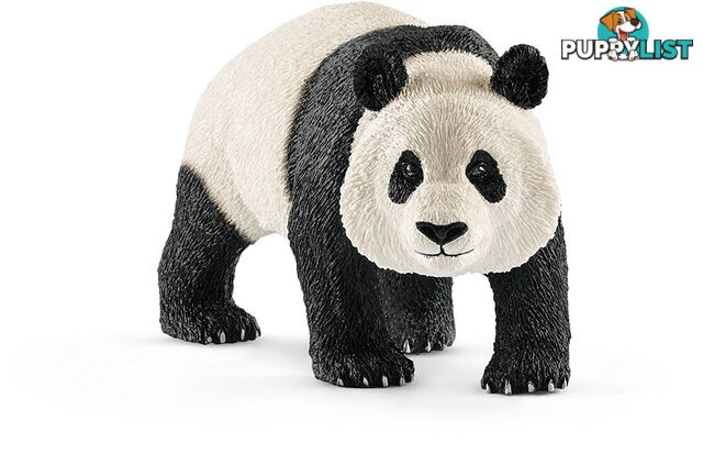 Schleich - Giant Panda Male Sc14772 - 4055744012648