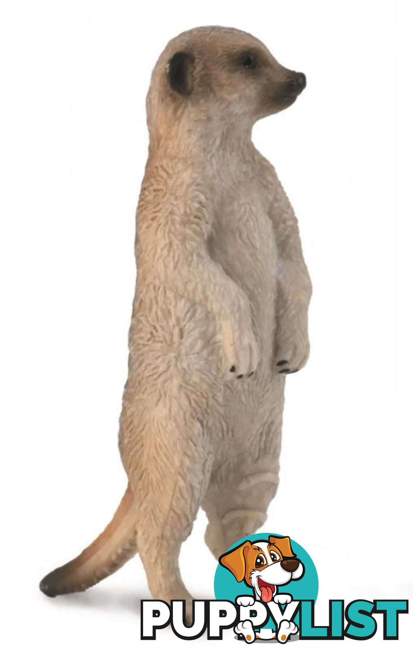 CollectA Meerkat Small Animal Figurine - Rpco88913 - 4892900889139