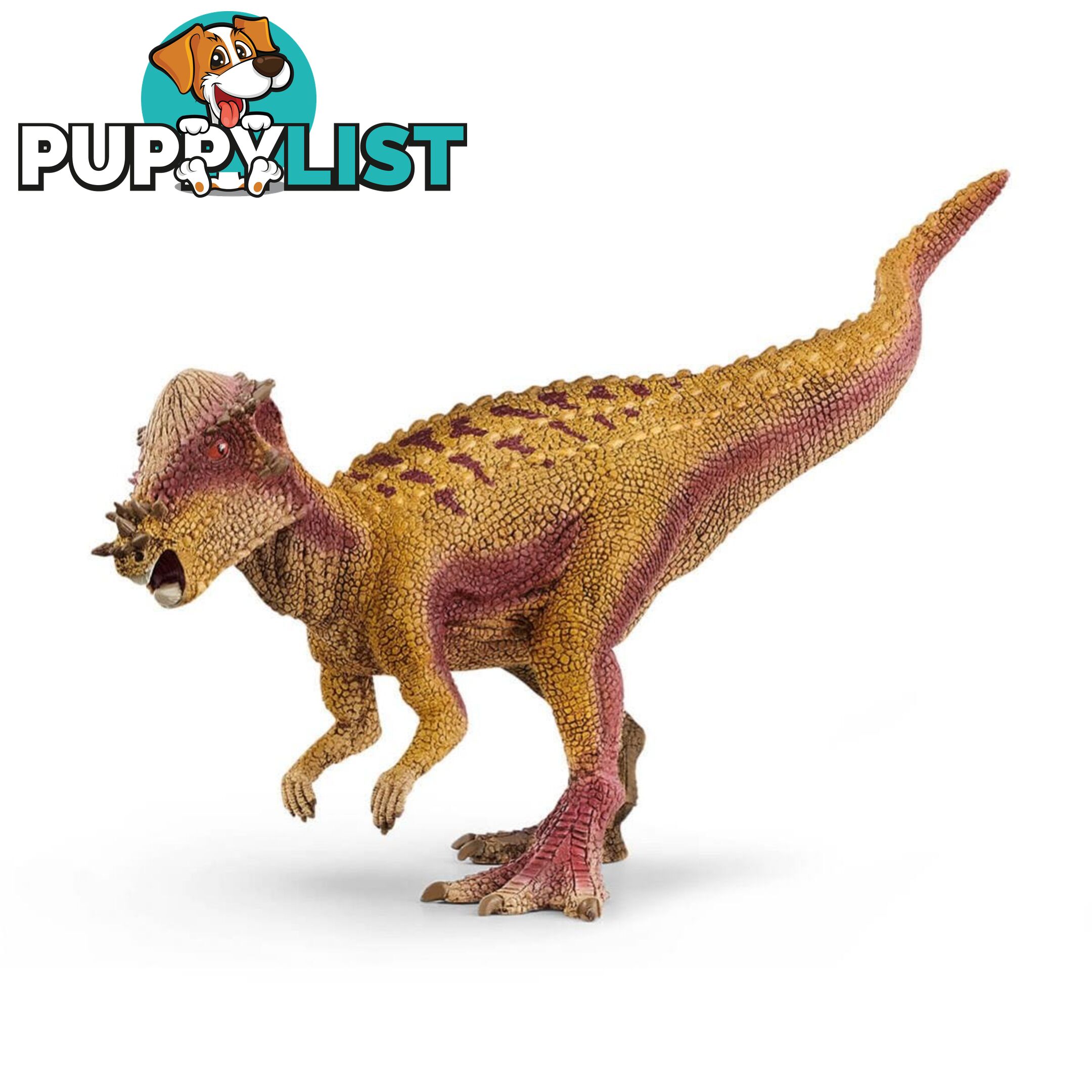 Schleich - Pachycephalosaurus Dinosaur Sc15024 - 4059433276878