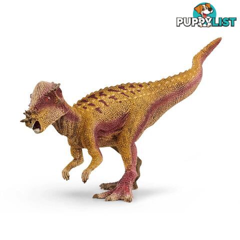 Schleich - Pachycephalosaurus Dinosaur Sc15024 - 4059433276878