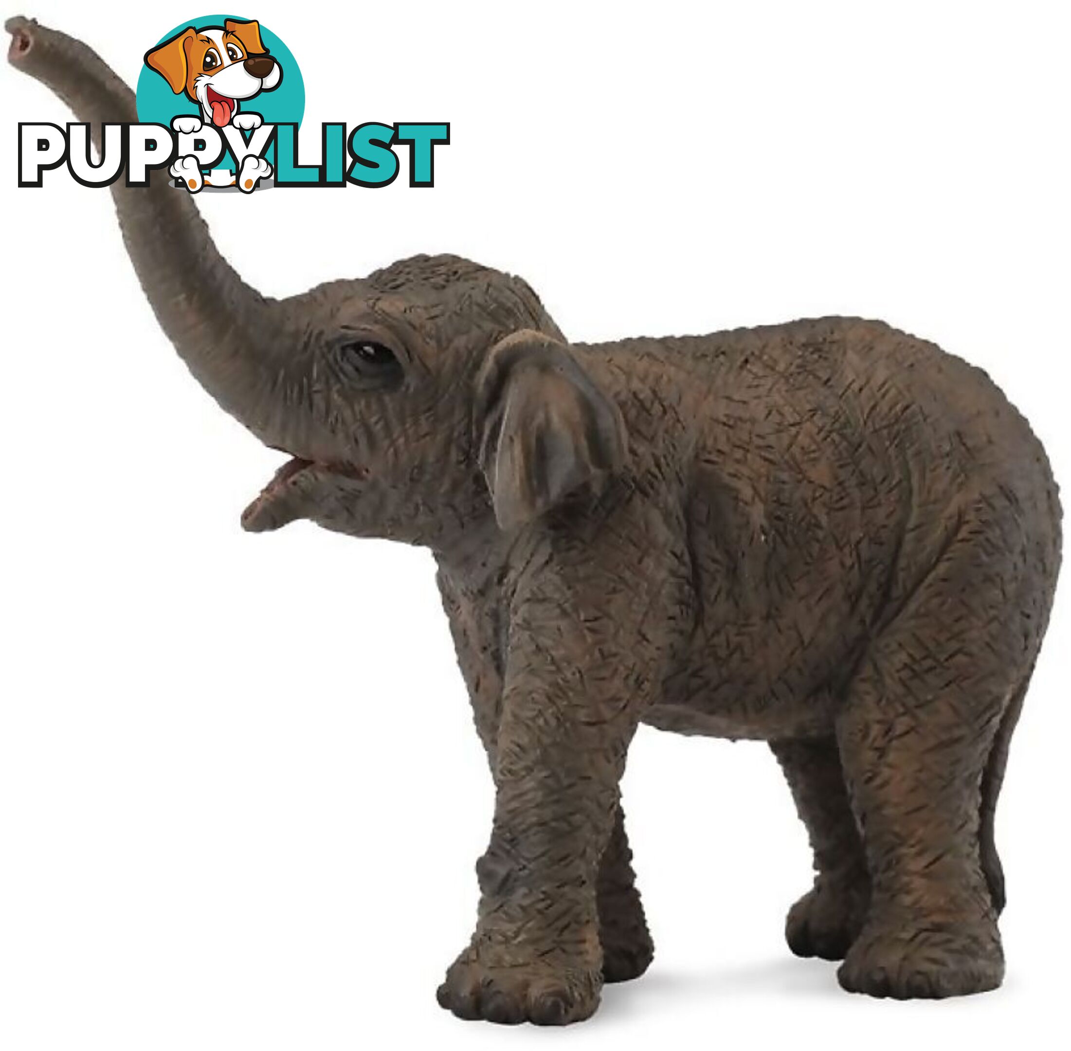 CollectA - Asian Elephant Calf Animal Figurine - Rpco88487 - 4892900884875