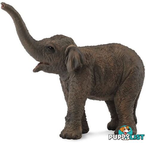 CollectA - Asian Elephant Calf Animal Figurine - Rpco88487 - 4892900884875