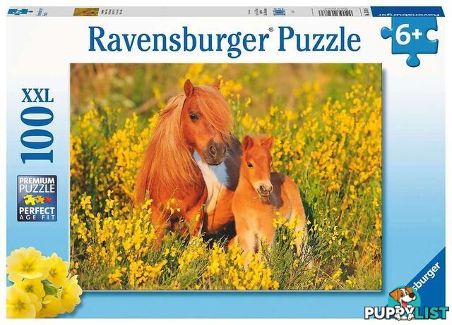 Ravensburger - Shetland Ponies Jigsaw Puzzle 100pc - Mdrb13283 - 4005556132836