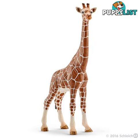 Schleich - Giraffe Female Sc14750 - 4005086147508