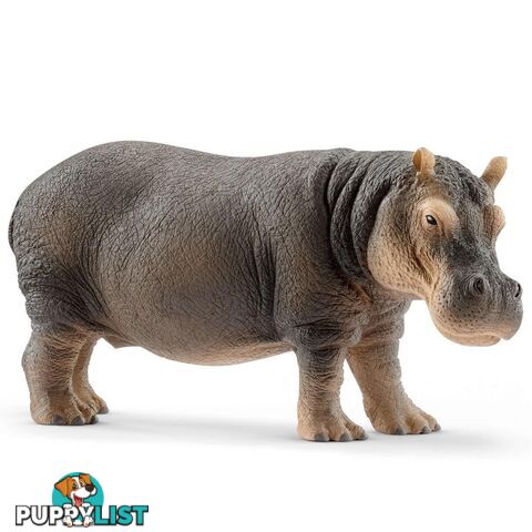 Schleich - Hippopotamus Sc14814 - 4055744020827