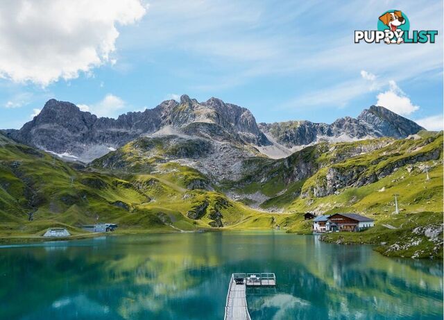 Ravensburger - Zeurser See In Vorarlberg Jigsaw Puzzle 1000 Pieces - Mdrb17174 - 4005556171743