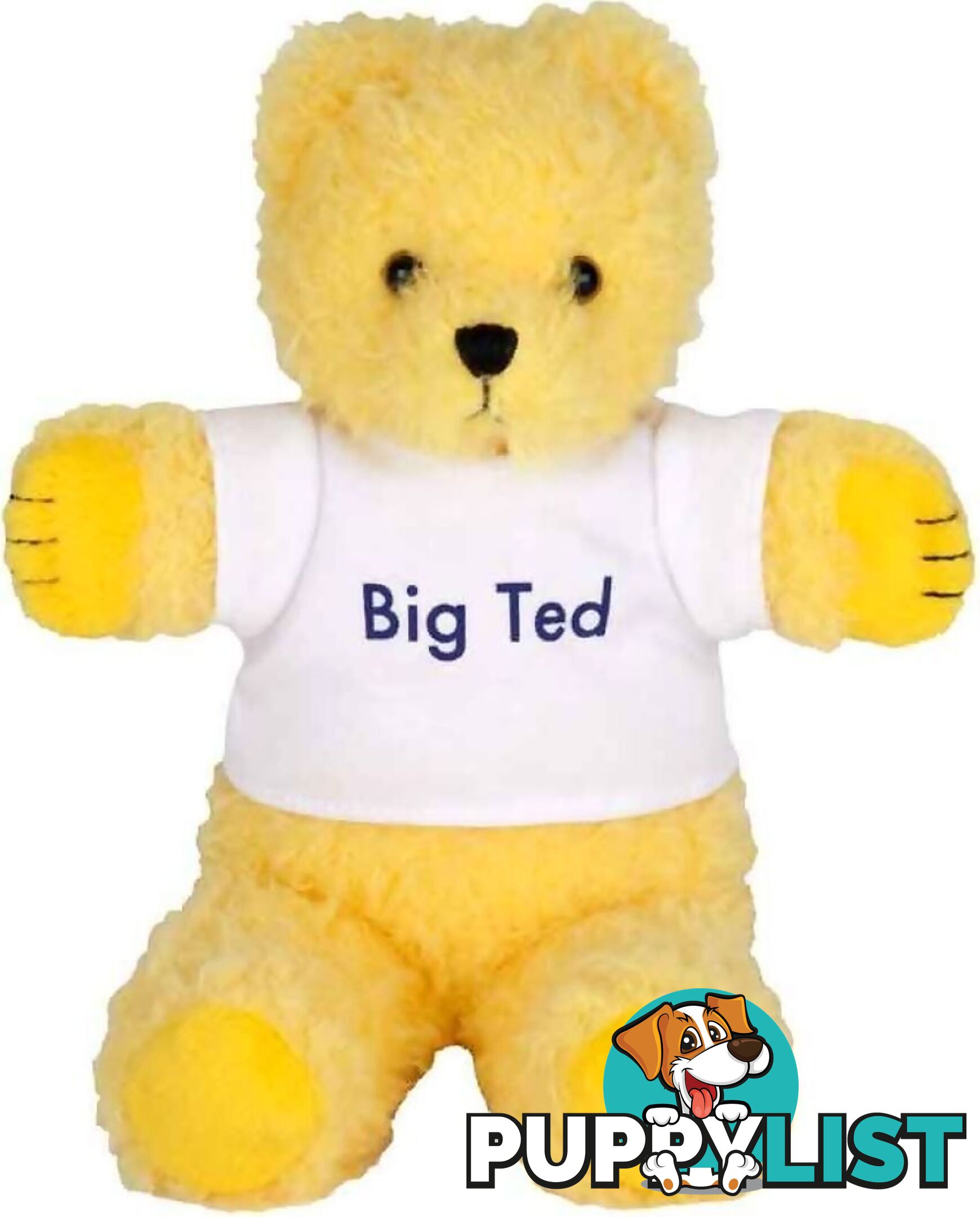 Playschool - Big Ted Beanie 25cm - Jsap4002 - 9319057040022