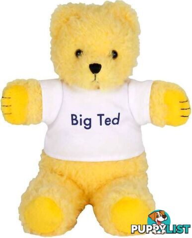 Playschool - Big Ted Beanie 25cm - Jsap4002 - 9319057040022