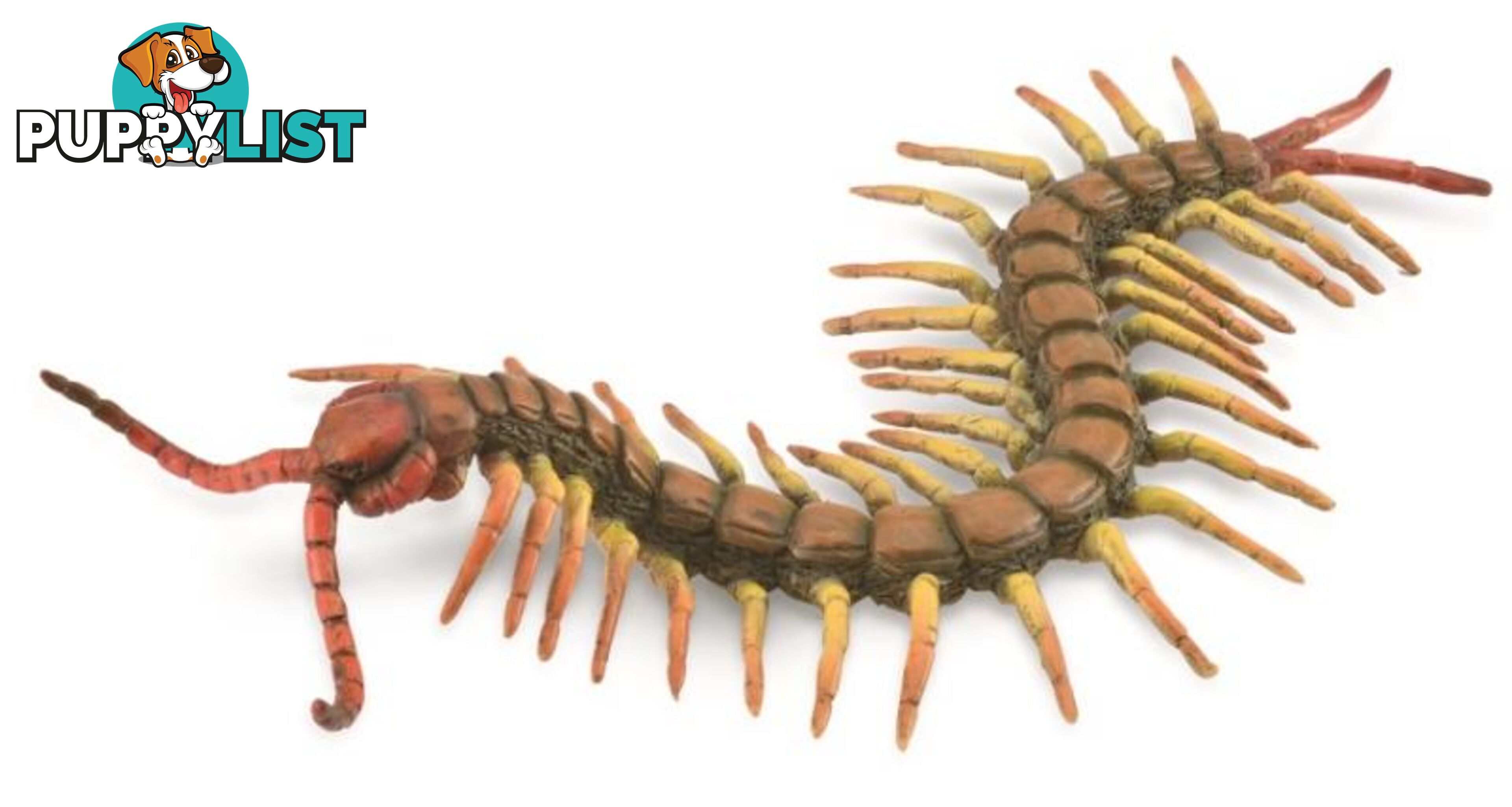 CollectA Centipede Animal Figurine - Rpco88885 - 4892900888859