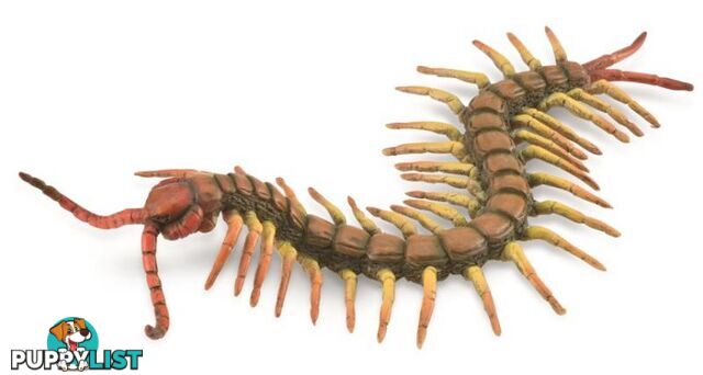 CollectA Centipede Animal Figurine - Rpco88885 - 4892900888859