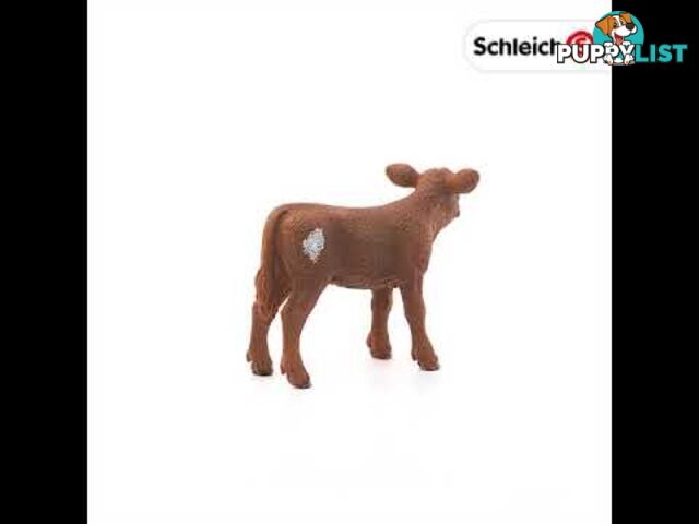 Schleich - Texas Longhorn Calf Sc13881 - 4055744029547