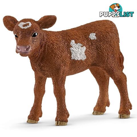 Schleich - Texas Longhorn Calf Sc13881 - 4055744029547