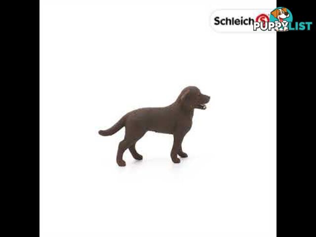 Schleich - Labrador Retriever Female Sc13834 - 4055744012556