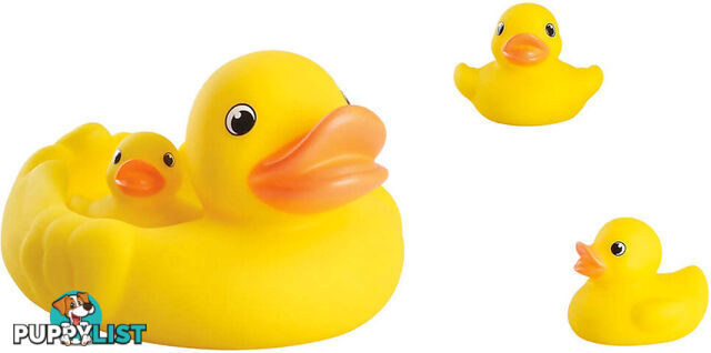 Playgo Toys Ent. Ltd - Splashy Quacky Duck Family - Art66377 - 4892401018557