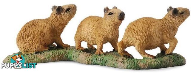 CollectA - Capybara Babies Small Animal Figurine - Rpco88541 - 4892900885414