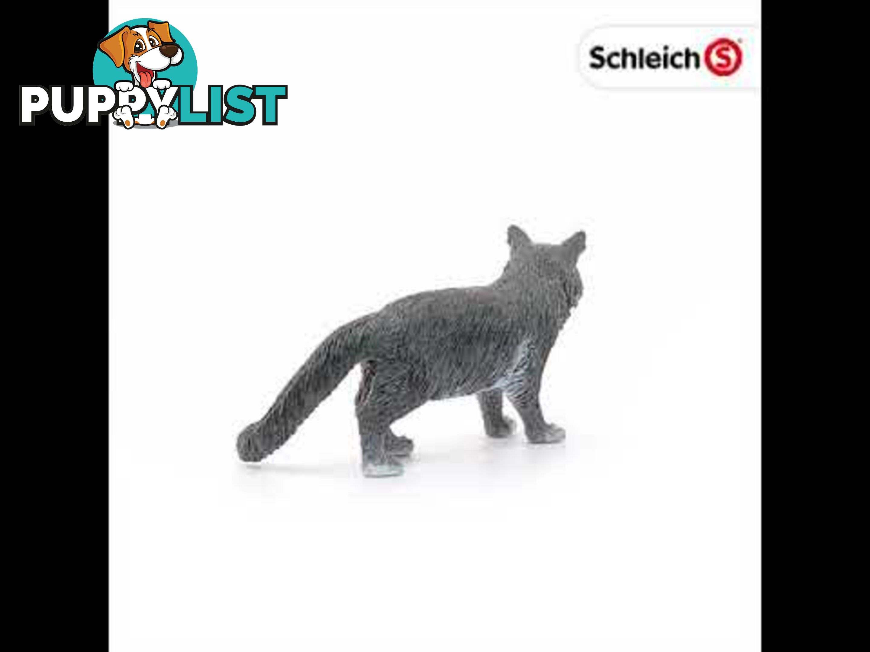 Schleich - Maine Coon Cat Sc13893 - 4055744029592