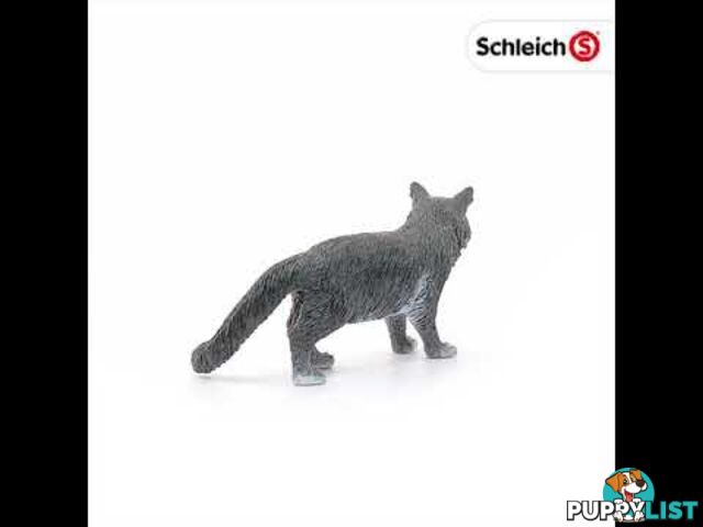 Schleich - Maine Coon Cat Sc13893 - 4055744029592