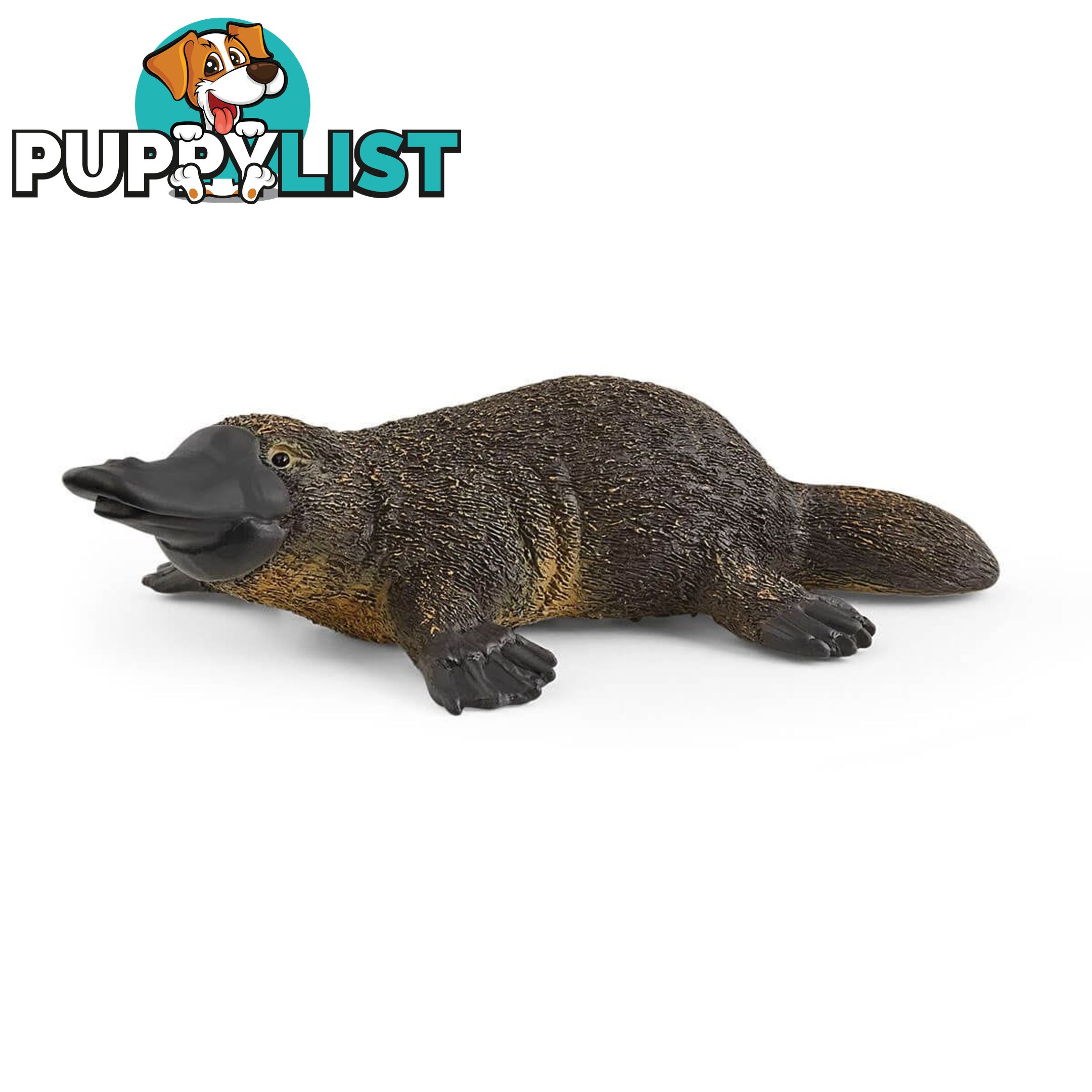 Schleich - Platypus   Wildlife Animal Figurine Sc14840 - 4059433267135