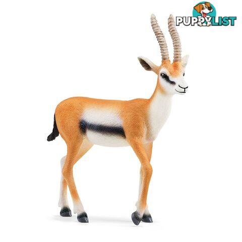 Schleich - Thomson Gazelle Animal Figurine - Mdsc14861 - 4059433543765