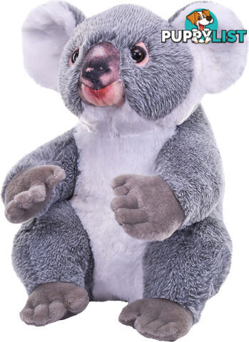 Wild Republic - Plush Koala Artist Collection 30cm - Wr27560 - 092389275605