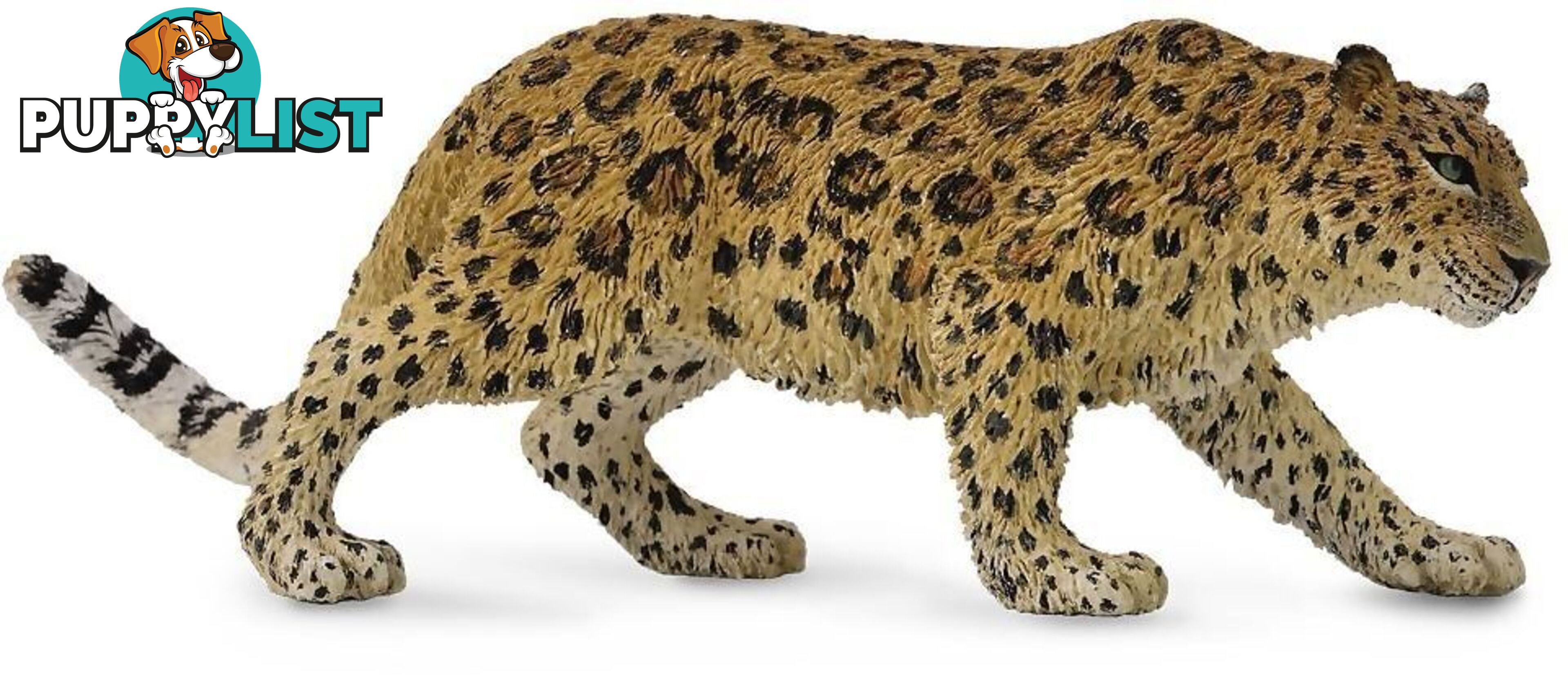 CollectA - Amur Leopard Extra Large Wild Animal Figurine - Rpco88708 - 4892900887081