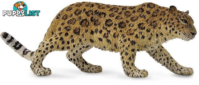 CollectA - Amur Leopard Extra Large Wild Animal Figurine - Rpco88708 - 4892900887081