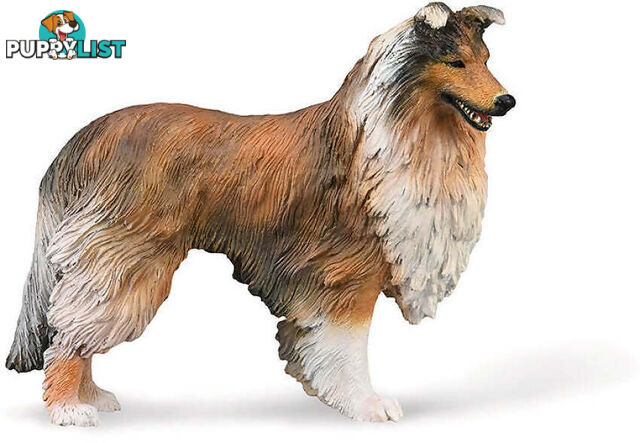 CollectA - Rough Collie Dog Large Figurine - Rpco88997 - 4892900889979