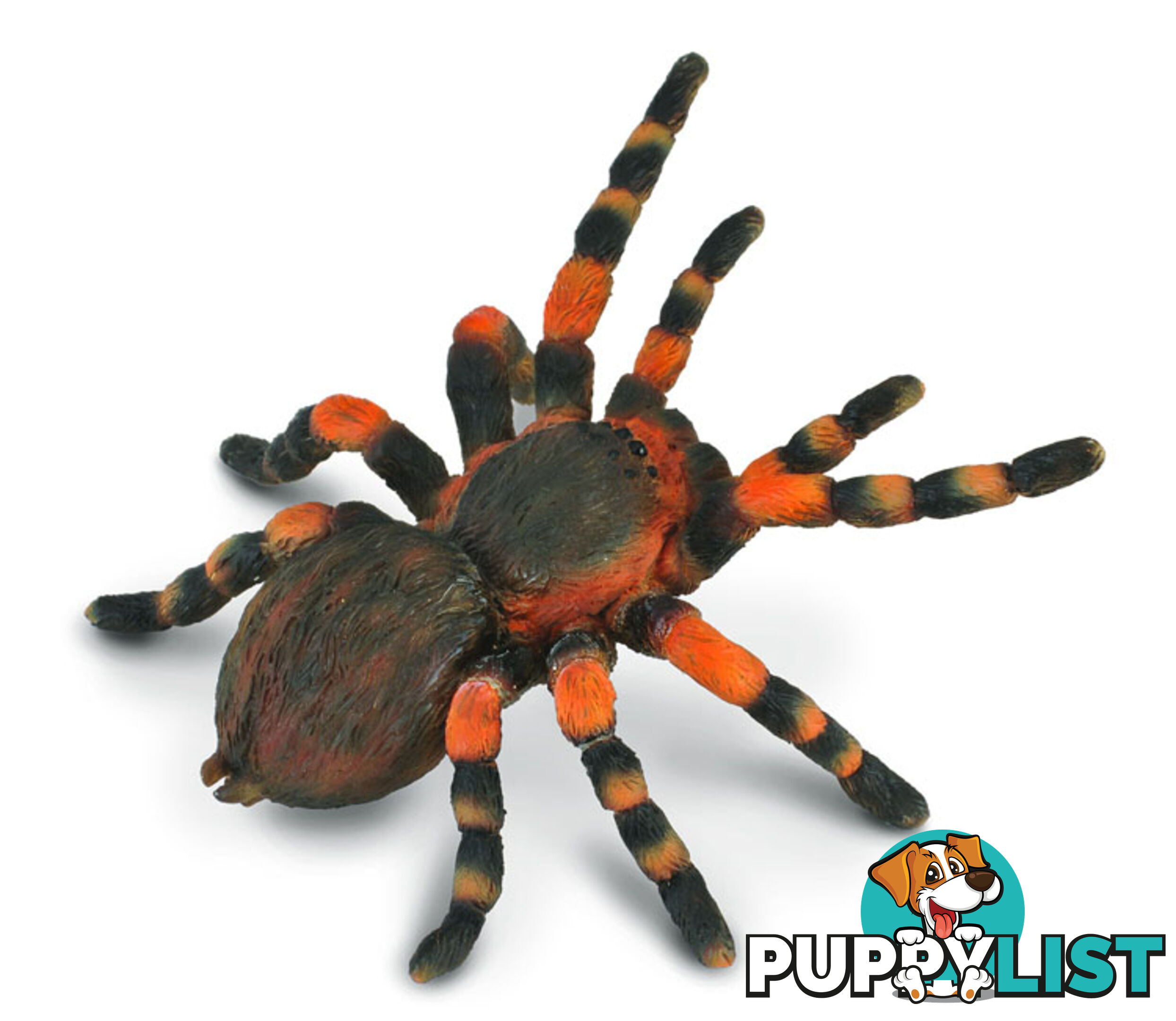 CollectA Mexican Red Knee Tarantula Spider Animal Figurine - Rpco88338 - 4892900883380