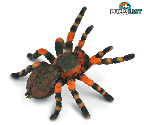 CollectA Mexican Red Knee Tarantula Spider Animal Figurine - Rpco88338 - 4892900883380