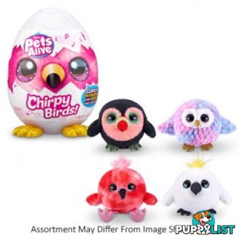 Zuru - Pet's Alive Chirpy Birds Assorted - Zuru - Azazt9537 - 193052043085