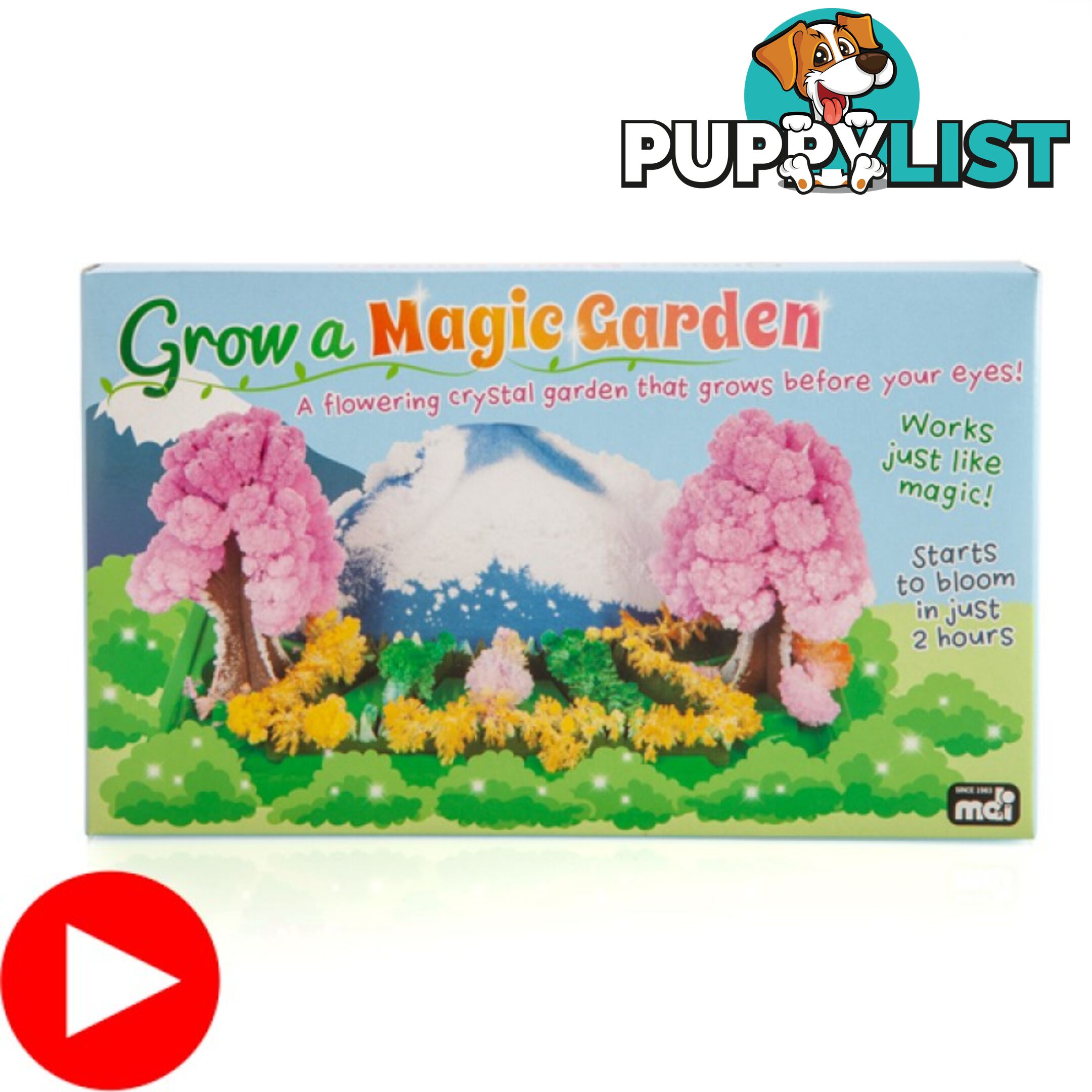 Grow A Magic Garden - Mbctgmg - 9318051103641