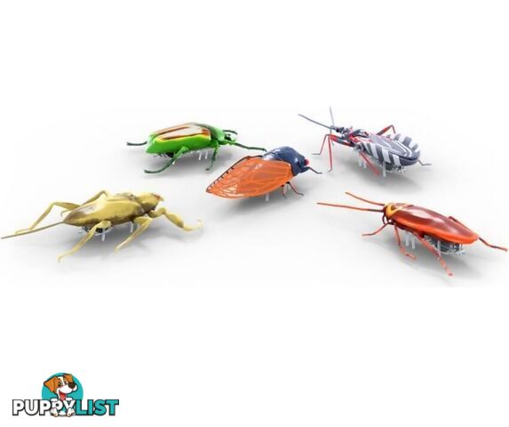 Hexbug - Nano Real Bugs 5 Pack - Si6068919 - 807648076769