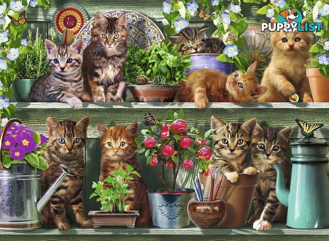 Ravensburger - Cats On The Shelf Jigsaw Puzzle 500 Piece Rb14824 - 4005556148240