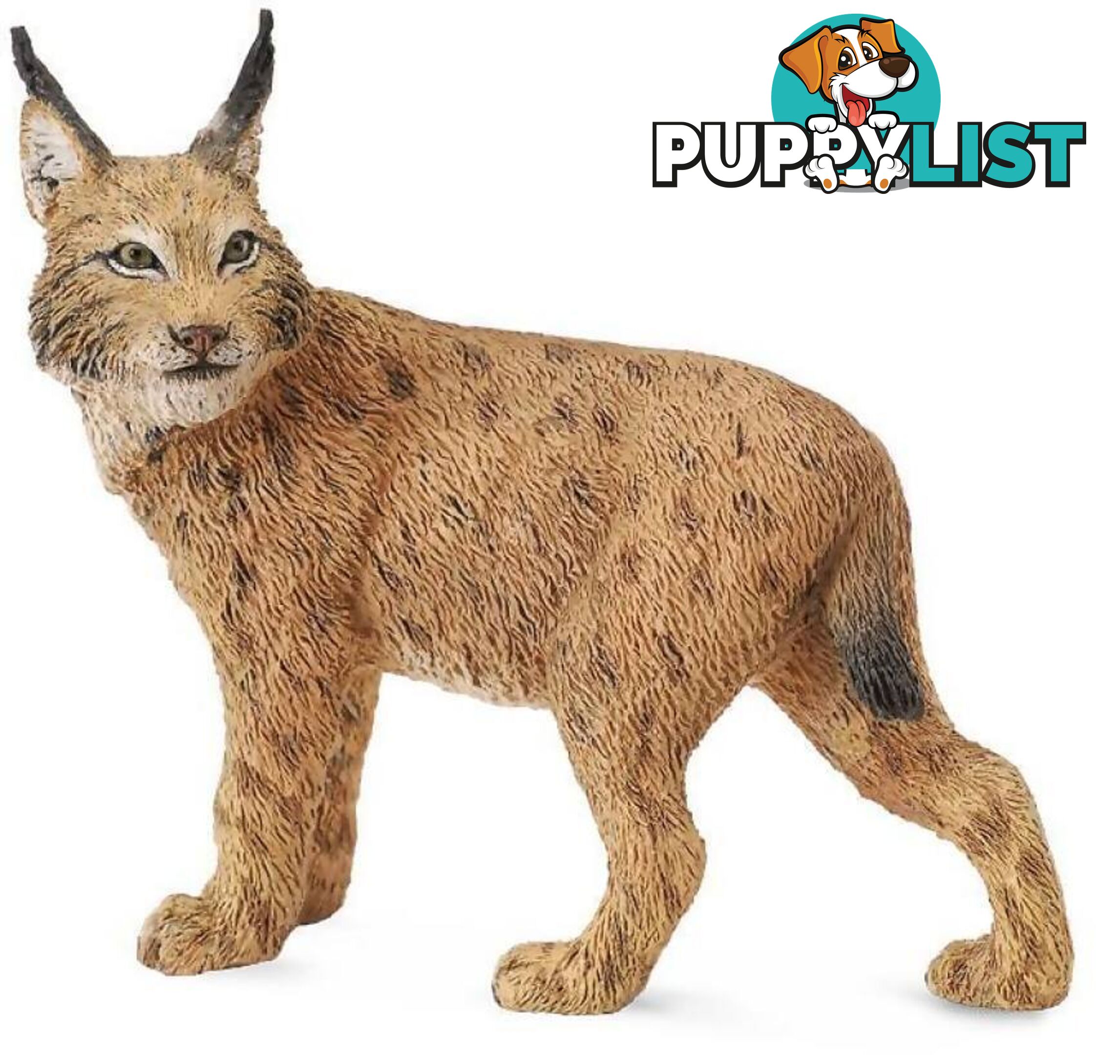 CollectA - Lynx Large Figurine - Rpco88565 - 4892900885650