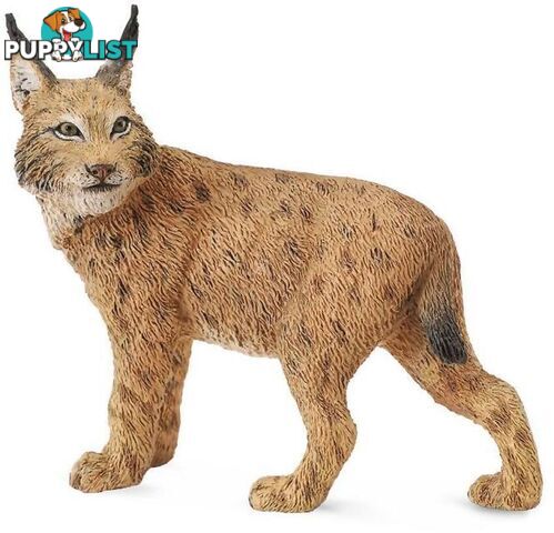 CollectA - Lynx Large Figurine - Rpco88565 - 4892900885650