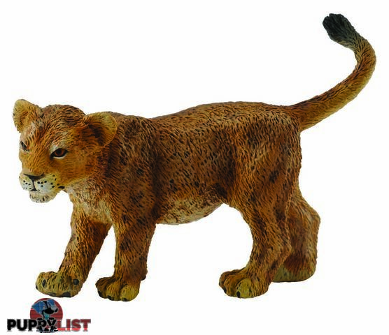 CollectA Lion Cub Walking Smal Animal Figurine - Rpco88417 - 4892900884172